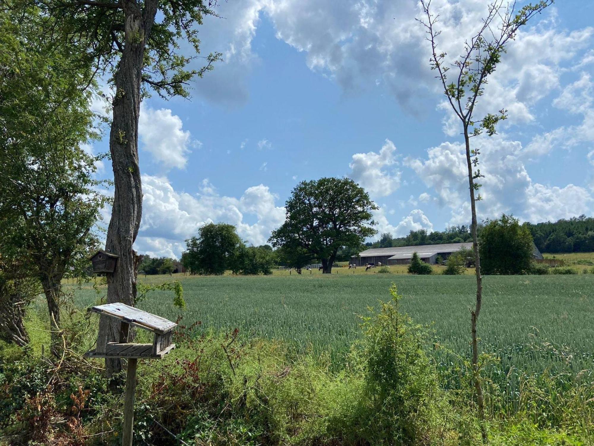 Sophisticated Holiday Home In Lierneux Near Forest Eksteriør bilde