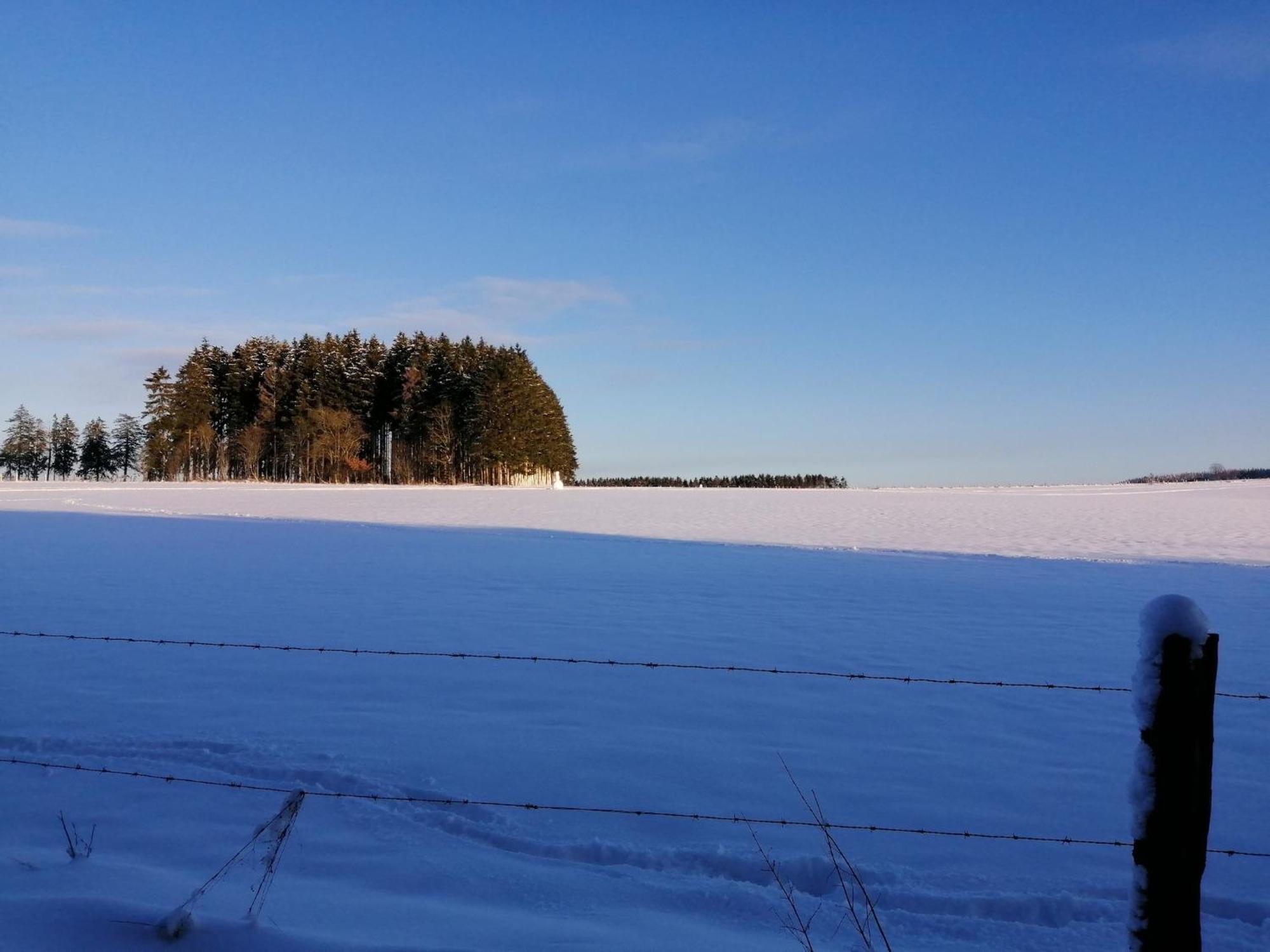 Sophisticated Holiday Home In Lierneux Near Forest Eksteriør bilde