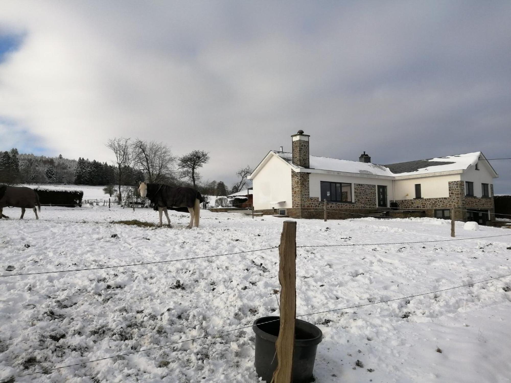 Sophisticated Holiday Home In Lierneux Near Forest Eksteriør bilde
