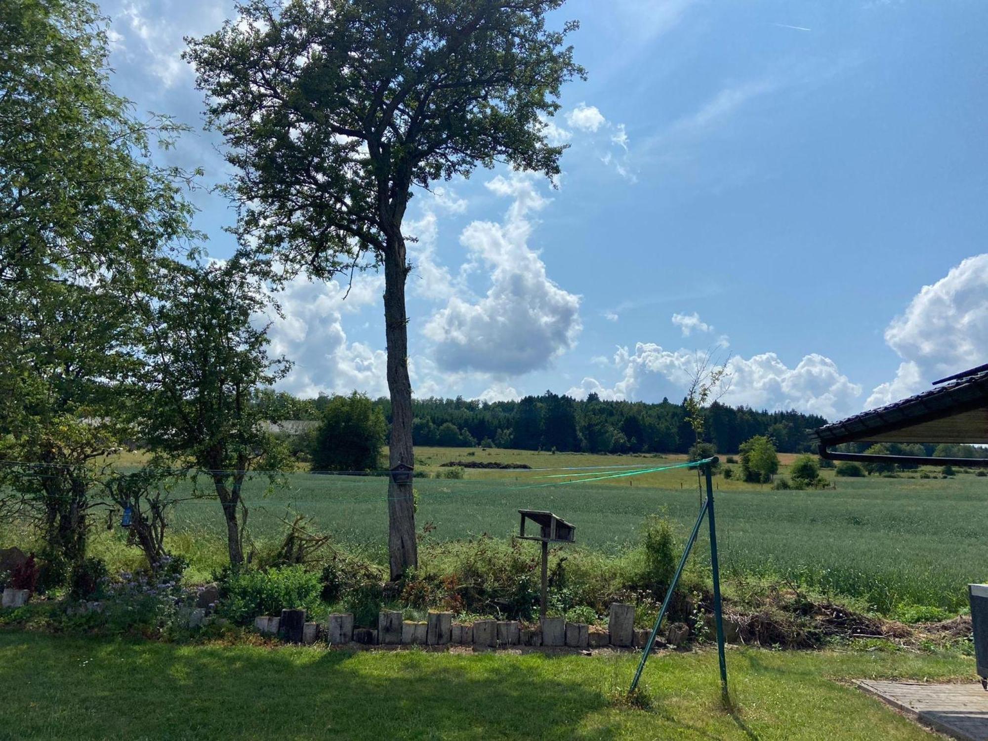 Sophisticated Holiday Home In Lierneux Near Forest Eksteriør bilde