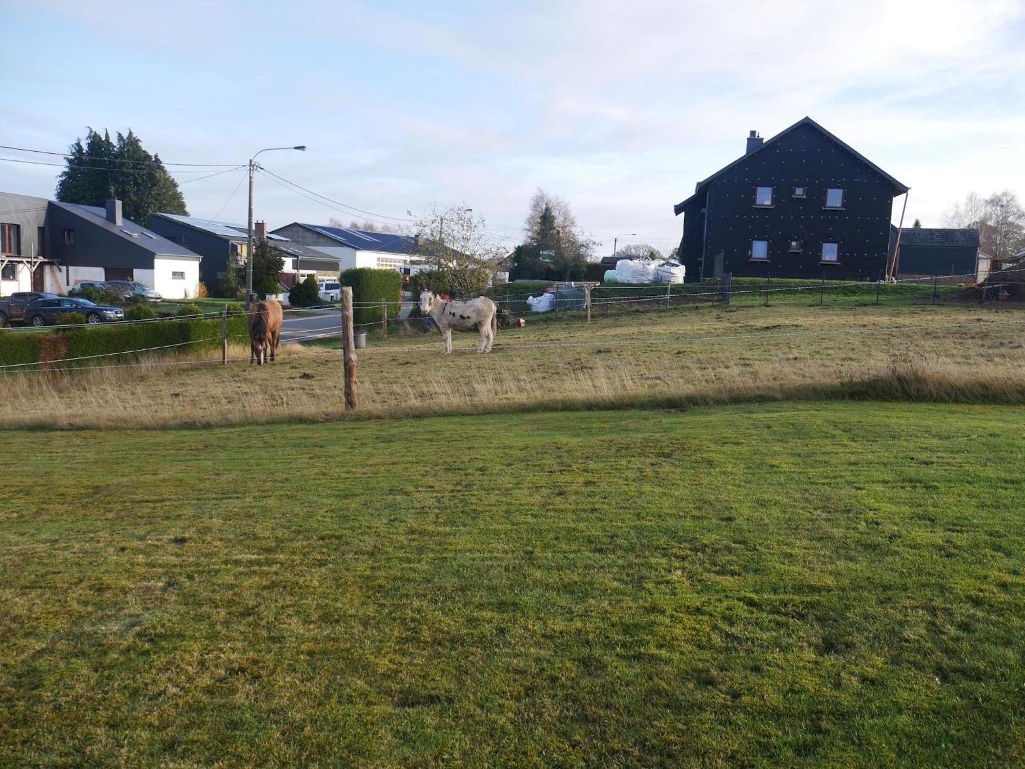 Sophisticated Holiday Home In Lierneux Near Forest Eksteriør bilde
