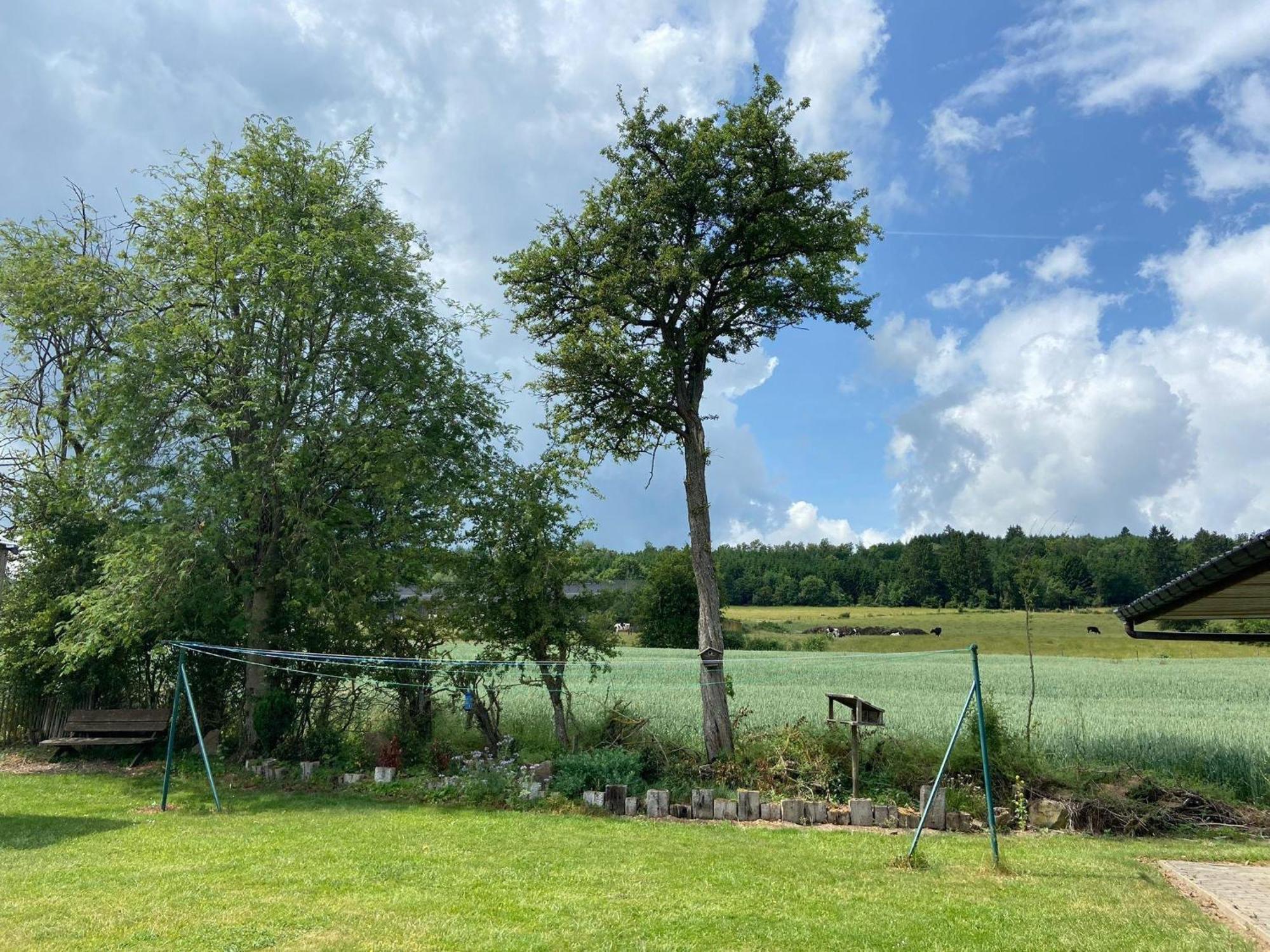 Sophisticated Holiday Home In Lierneux Near Forest Eksteriør bilde